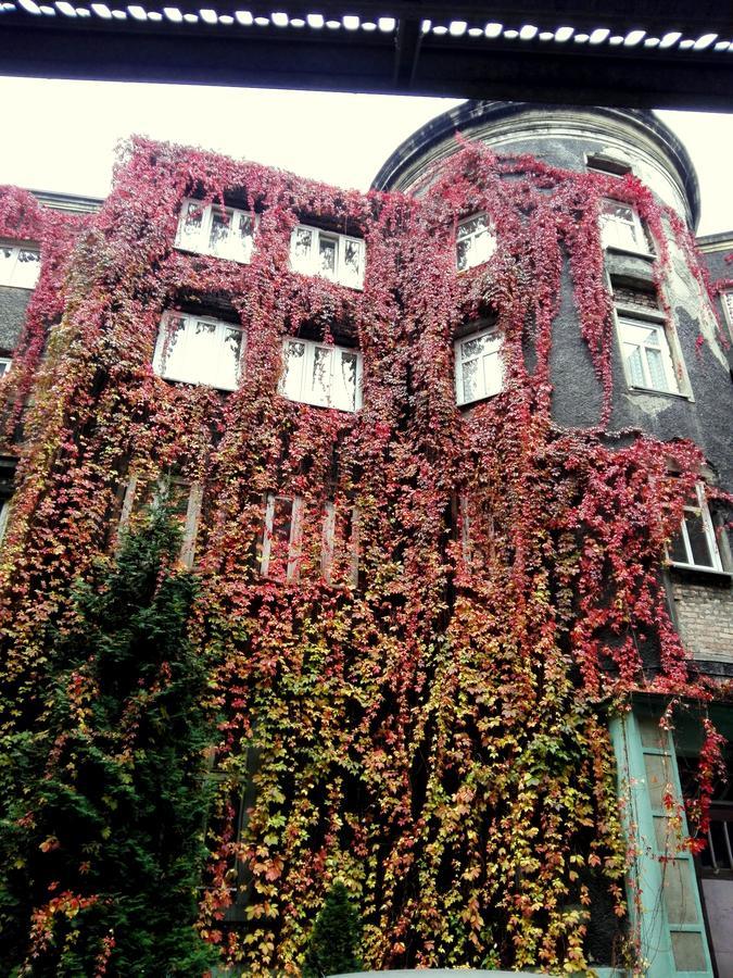 Bristol Residence Битом Екстер'єр фото